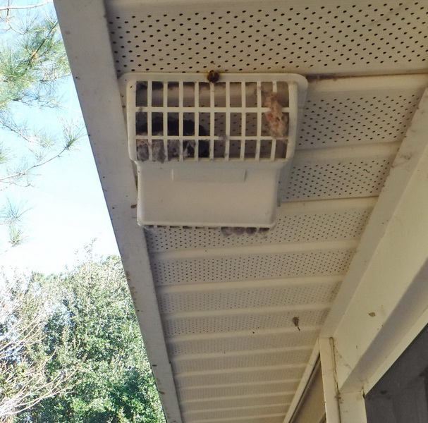 picture of mproper soffit dryer vent on charleston home